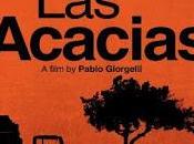 Acacias