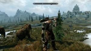 [ESPERIENZE VIDEOLUDICHE]  Skyrim e i dintorni