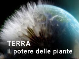 “Terra, il potere delle piante” apre stasera su Rai 5 il ciclo di documentari dal titolo 