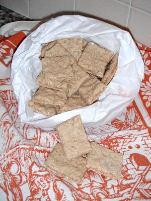 Crackers rustici all'avena subito in forno!