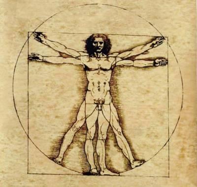 Leonardo, Uomo Vitruviano