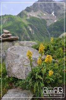 Rifugio Andolla: Sotto il sole e sotto la pioggia.