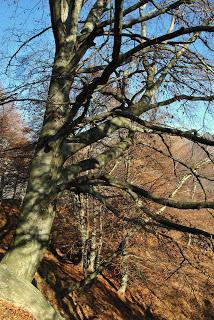 La vecchia della grotta. Storia di una Valle.