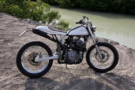 Readers' rides: DR600 by Fuchs