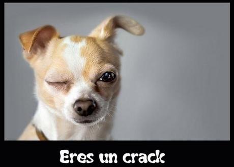 Espressioni spagnole: crack, caña, leche