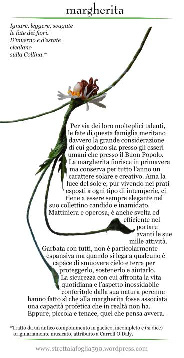 margherita
