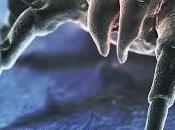 Dimension VRock, video