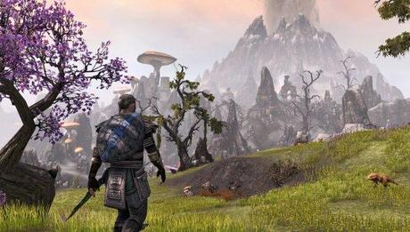 The-Elder-Scrolls-Online-fields