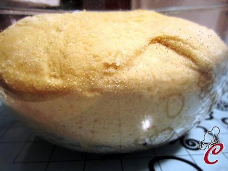 Croissant al cocco e il tanto atteso momento dell'esperimento.... riuscito!