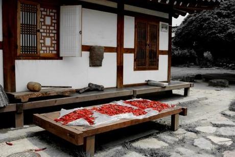 Storie di hanok, kimchi e divinazione