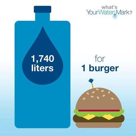 Foto: Lo sapevi che servono all’incirca 1.740 litri d’acqua per produrre un hamburger?   Scopri come ridurre i consumi d’acqua. http://bit.ly/1dLMp8Q
