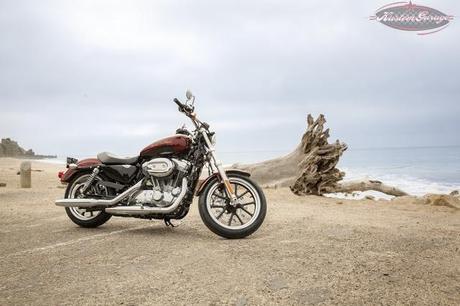 Harley-Davidson MY 2014: Sportster SuperLow