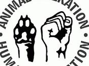 Cos'è l'antispecismo?