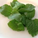 5. Lavare le foglie di menta fresca