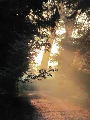 Istantanee di un mattino