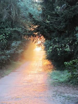 Istantanee di un mattino