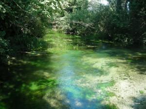 Trovato scafo di una nave in legno del XI secolo sul Fiume Stella, Friuli Venezia Giulia