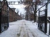 Auschwitz, orrore rimpianto generazione senza sogni