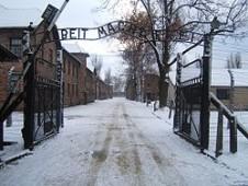 Auschwitz orrore 226x170 AUSCHWITZ, ORRORE E RIMPIANTO   GENERAZIONE SENZA SOGNI 8