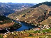 Viaggio Portogallo brindare nettare della Valle Douro