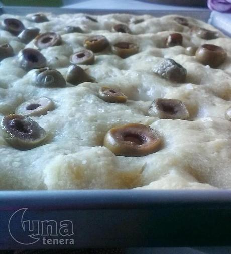 Focaccia con farina di kamut e olive verdi