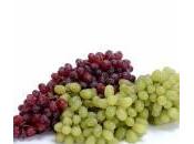 Uva, solo calorie: depura contrasta ritenzione idrica