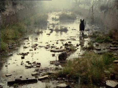 a-andrei-tarkovsky-stalker