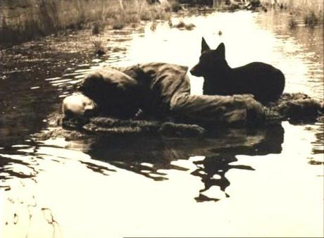 stalker_tarkovskij_black_dog