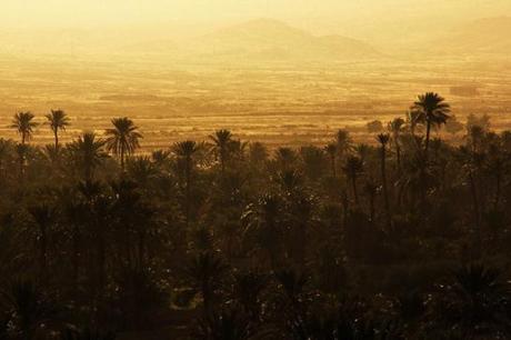 Moroccan-Landscape