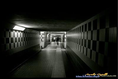 in treno, da Pontedera a Empoli