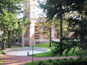 lago d’Orta lezione composizione floreale bacche fiori stagione
