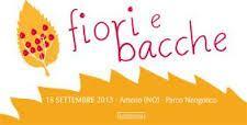 fiori e bacche Ameno 2013