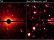 Chisciotte: asteroide cometa