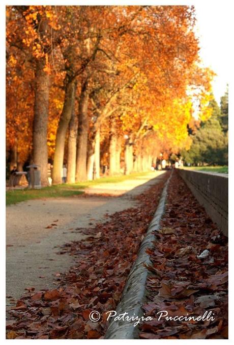 Lucca