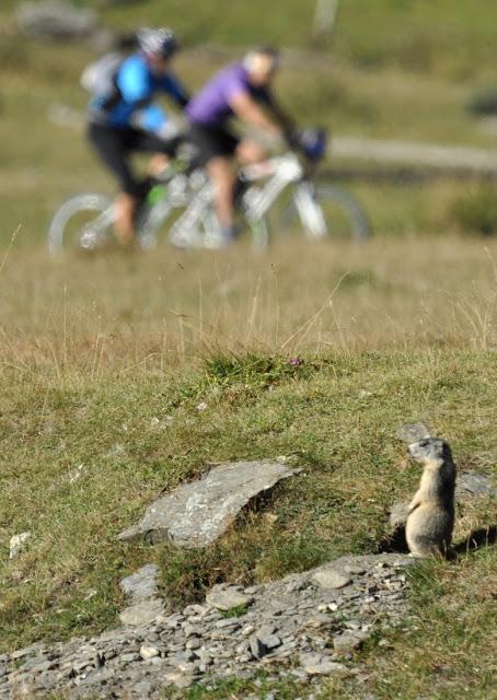 HO PASSATO TRE ORE A GUARDARVI