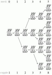 LA SEZIONE AUREA IN MATEMATICA