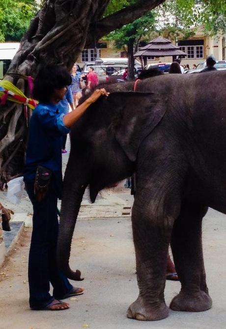 Scimmie sulla pelle: ancora a proposito di tatuaggi e Thailandia