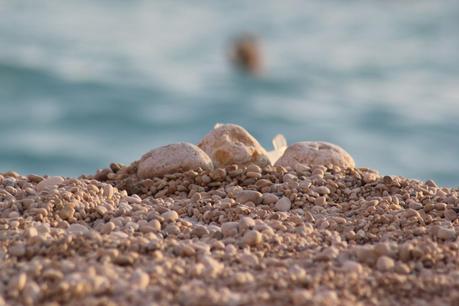 Turchia On The Road: Bodrum