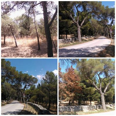 Viaggio in Puglia: 2 tappa Castel del Monte e Barletta