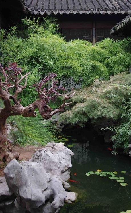 Giardino cinese - Suzhou, Cina