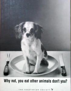Se niente importa. Perchè mangiamo gli animali? Di Jonathan Safran Foer. Edito da Guanda.