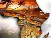 Casa Africa peace