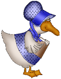 anatra-sognava-mercato