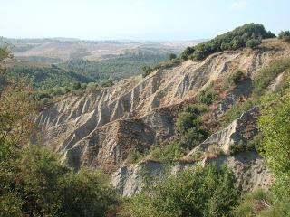 Escursione naturalistica gratuita / Free naturalistic excursion