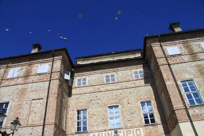 le rondini? ho scoperto dove sono