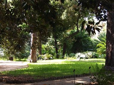 Una mattina all'orto botanico di Palermo