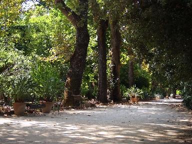 Una mattina all'orto botanico di Palermo