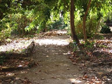 Una mattina all'orto botanico di Palermo