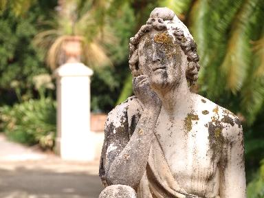 Una mattina all'orto botanico di Palermo