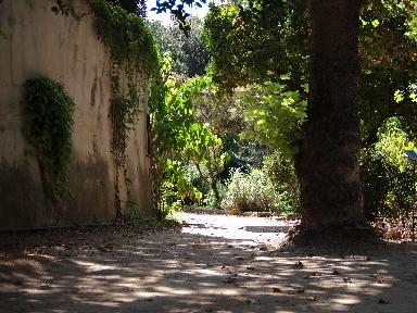 Una mattina all'orto botanico di Palermo